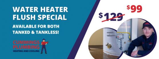 Water Heater Flush Special