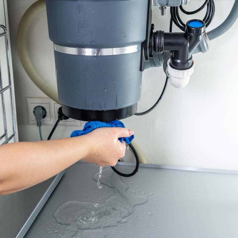 Leaking Garbage Disposal Repair