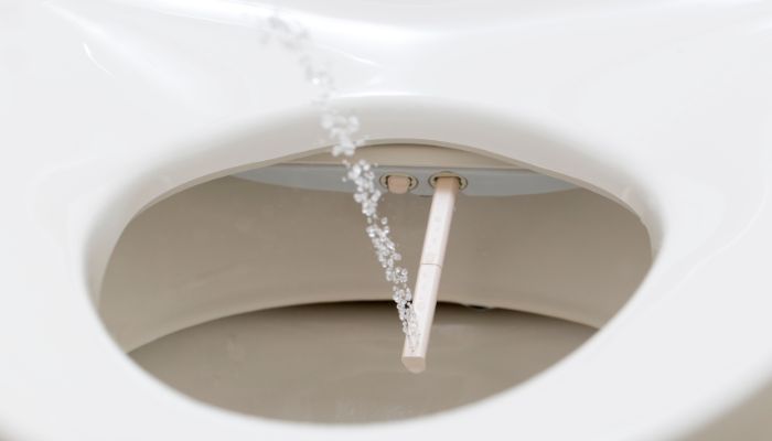 Bidet Installation Guide
